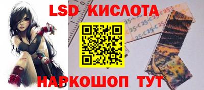 прущие грибы Гатчина