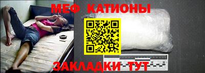 прущие грибы Гатчина