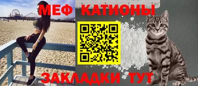 прущие грибы Гатчина