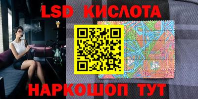 прущие грибы Гатчина