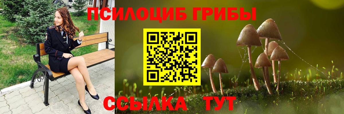 Псилоцибиновые грибы MAGIC MUSHROOMS  Вход с VPN  Губкинский 